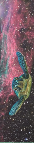 Space turtle