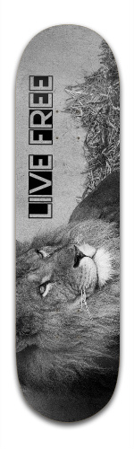 Design 171732 Skateboards, Longboards and Grip Tape Image