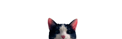 Design 173051 Skateboards, Longboards and Grip Tape Image