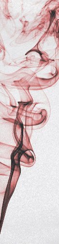 Design 173519