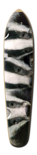 Design 173871 Skateboards, Longboards and Grip Tape