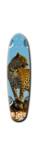 Design 183924 Skateboards, Longboards and Grip Tape