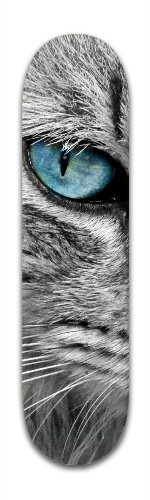 Design 184211 Skateboards, Longboards and Grip Tape Image
