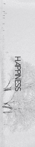 Design 184261 Skateboards, Longboards and Grip Tape