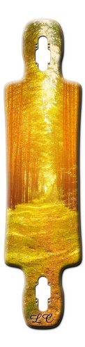Design 184465 Skateboards, Longboards and Grip Tape