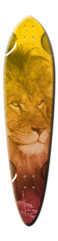 Design 184701 Skateboards, Longboards and Grip Tape