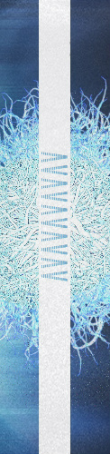 Design 185324 Skateboards, Longboards and Grip Tape
