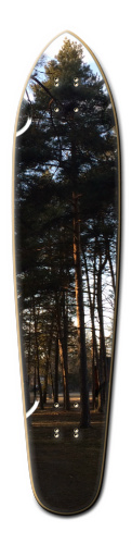Design 186225 Skateboards, Longboards and Grip Tape