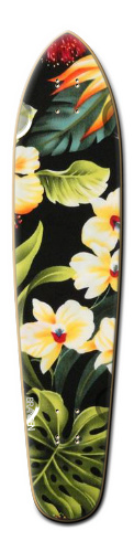 Design 186619 Skateboards, Longboards and Grip Tape