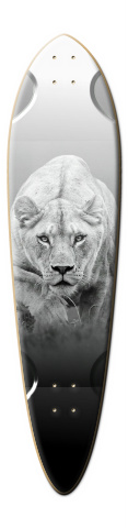 Design 186887 Skateboards, Longboards and Grip Tape