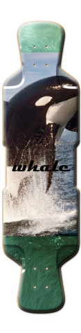 Design 188475 Skateboards, Longboards and Grip Tape