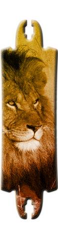 Design 188855