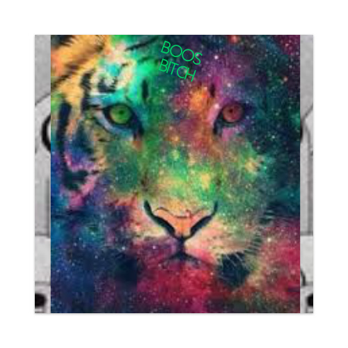 Design 189235 Skateboards, Longboards and Grip Tape Image