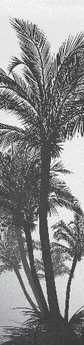 Design 189192 Skateboards, Longboards and Grip Tape Image