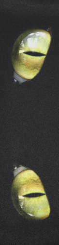 Design 190037