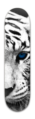 Design 190564 Skateboards, Longboards and Grip Tape Image