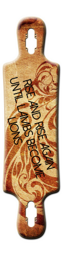 Design 181440 Skateboards, Longboards and Grip Tape