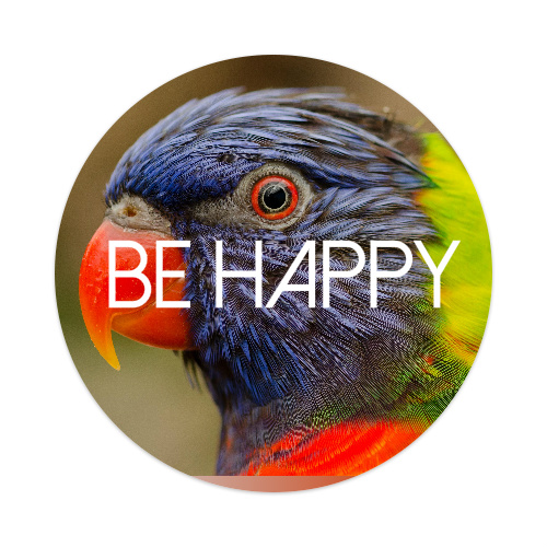 Be happy Skateboards, Longboards and Grip Tape Image