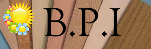 Design 181755 Skateboards, Longboards and Grip Tape Image