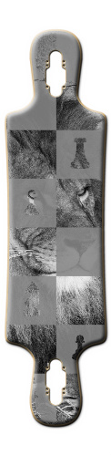 Design 181929 Skateboards, Longboards and Grip Tape