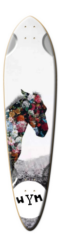 Design 182818 Skateboards, Longboards and Grip Tape