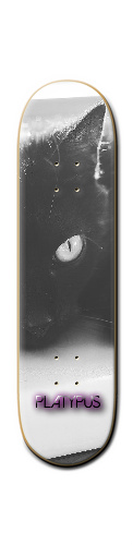 Design 183099 Skateboards, Longboards and Grip Tape