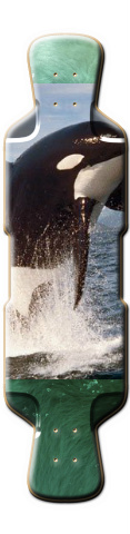 Design 194717