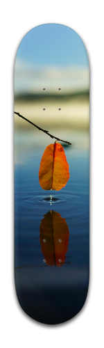 Design 194837 Skateboards, Longboards and Grip Tape Image