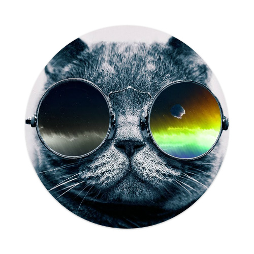 Design 195659 Skateboards, Longboards and Grip Tape Image