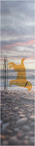 Design 197626