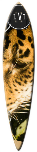 Design 199423 Skateboards, Longboards and Grip Tape Image