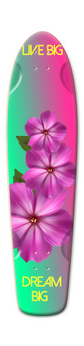 Design 199592 Skateboards, Longboards and Grip Tape
