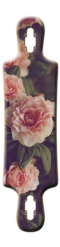 Design 191779 Skateboards, Longboards and Grip Tape