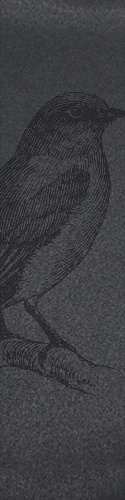 bird Skateboards, Longboards and Grip Tape Image