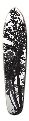 Design 193507 Skateboards, Longboards and Grip Tape Image