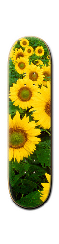 Design 203878