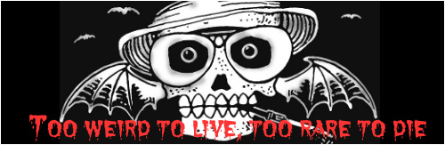 Design 204877 Skateboards, Longboards and Grip Tape