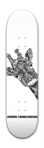 Design 204995 Skateboards, Longboards and Grip Tape Image