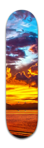 Design 205425 Skateboards, Longboards and Grip Tape