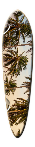 Design 206936 Skateboards, Longboards and Grip Tape Image