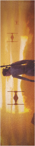 Design 200555 Skateboards, Longboards and Grip Tape Image