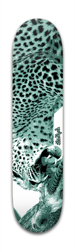 Design 200825 Skateboards, Longboards and Grip Tape
