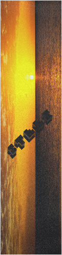 Design 201219 Skateboards, Longboards and Grip Tape
