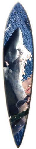shark