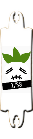 Design 202034 Skateboards, Longboards and Grip Tape