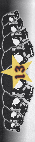 Design 213186 Skateboards, Longboards and Grip Tape Image