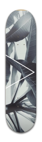 Design 214552 Skateboards, Longboards and Grip Tape