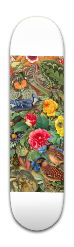 Design 214526 Skateboards, Longboards and Grip Tape Image