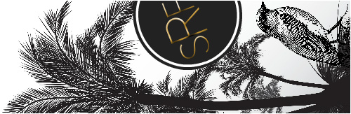 Design 214672 Skateboards, Longboards and Grip Tape
