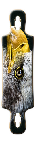 Design 214623 Skateboards, Longboards and Grip Tape